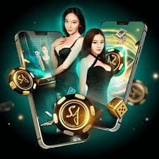 Responsible gaming and lobby steps for bd 991 adult members